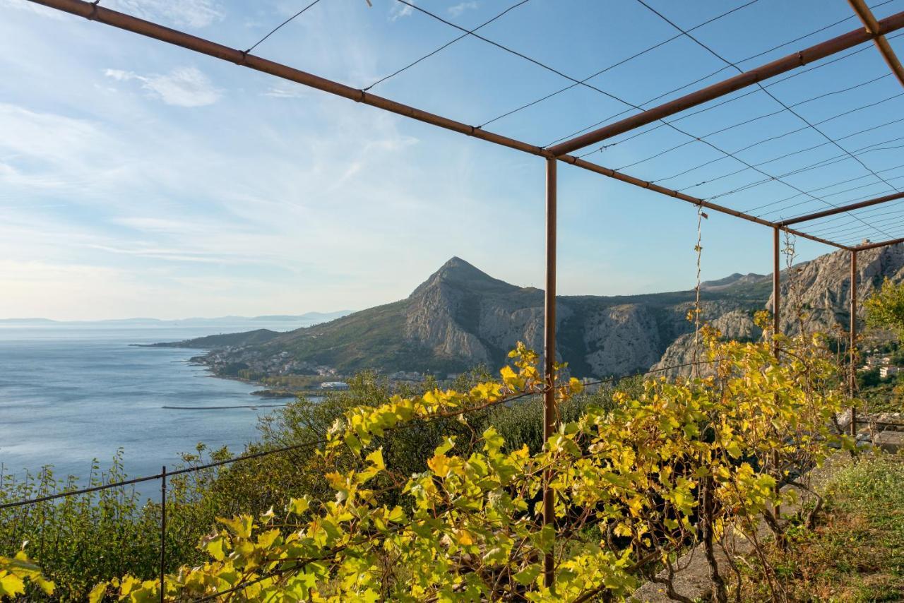 Pikolo Omis *